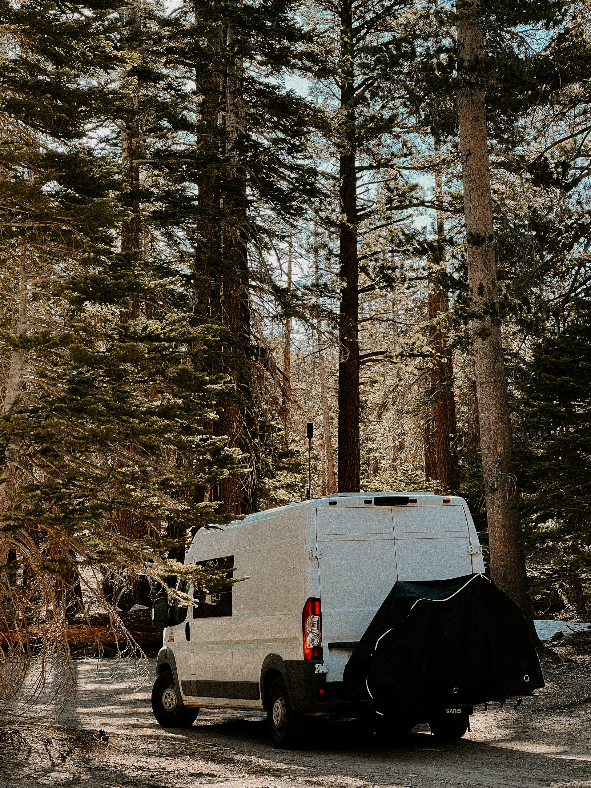 vanlife in forest
