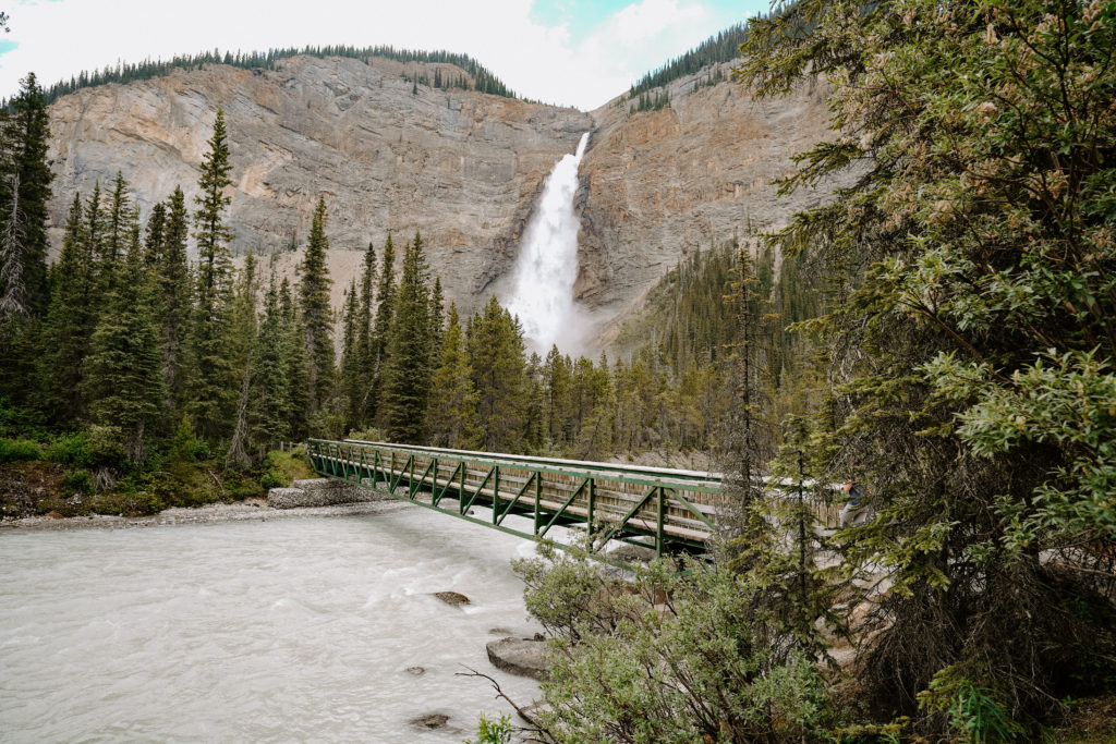 waterfall surrounded by trees in Yoho National Park
