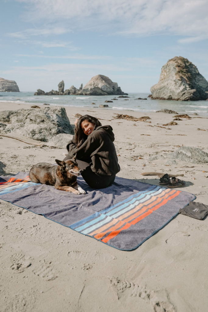 dog friendly california beach