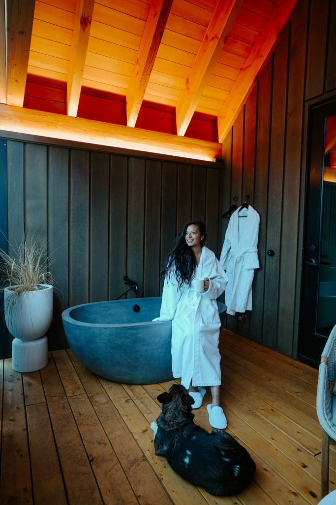 bathtub in dog friendly hotel
