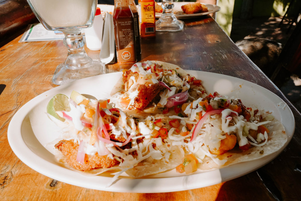 fish taco Todos Santos