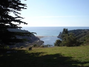 Mendocino Dog friendly hotel