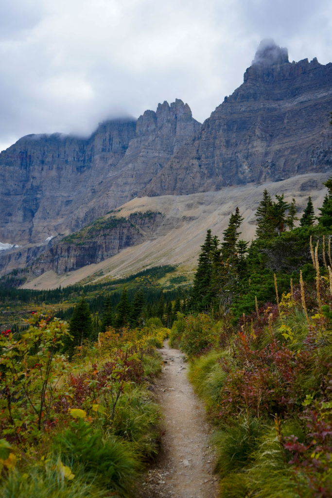 Trail surrounded by fall colors and mountain peaks in Glacier National Park
