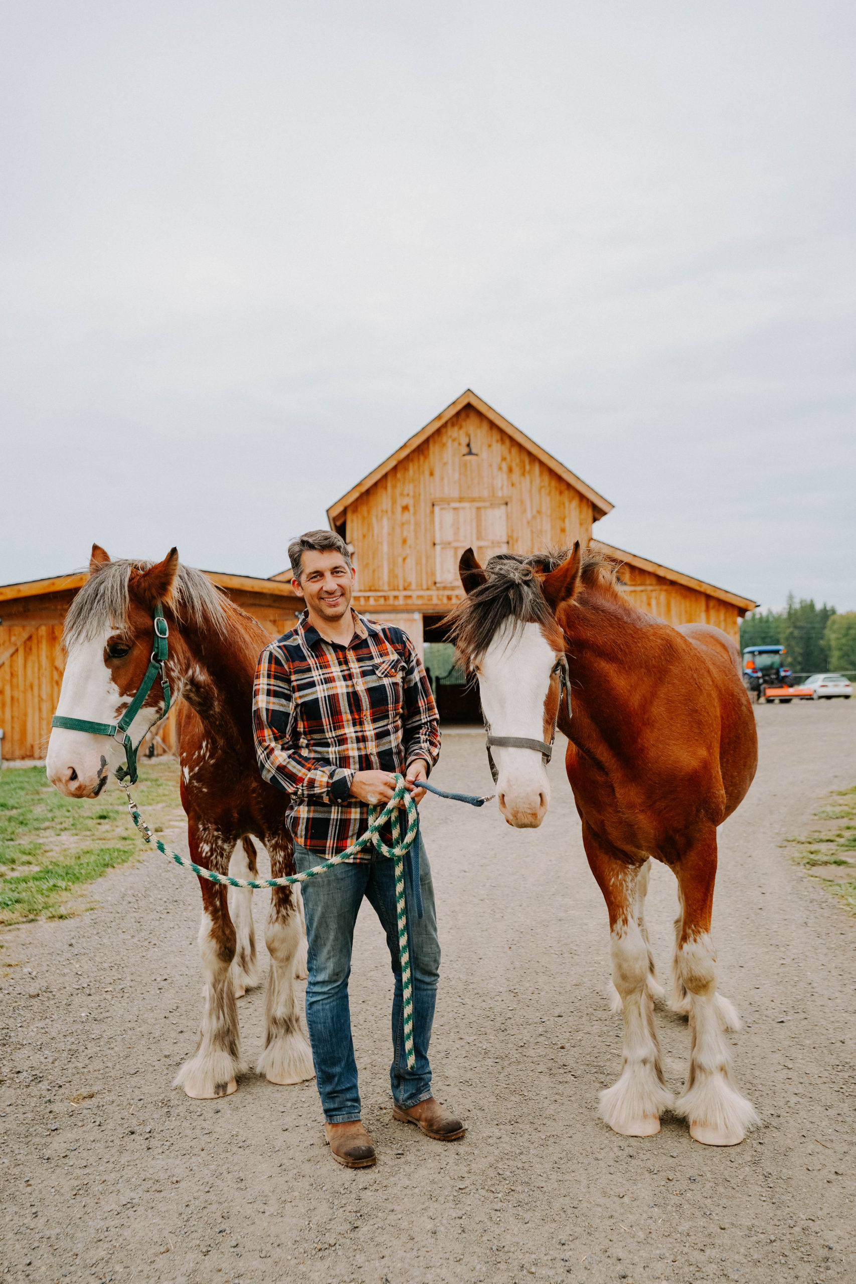 Clydesdale Outpost: Stay in a Horse Ranch in Montana - Suzi On The Move