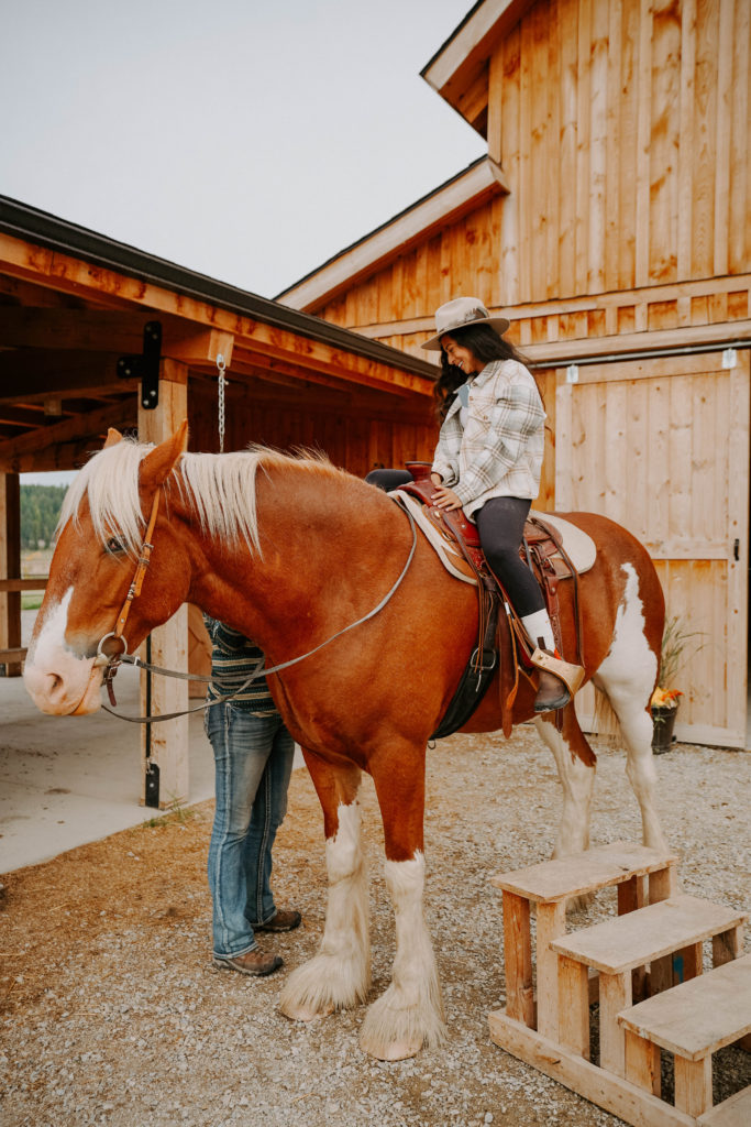 Horseback riding in Clydesdale Outpost