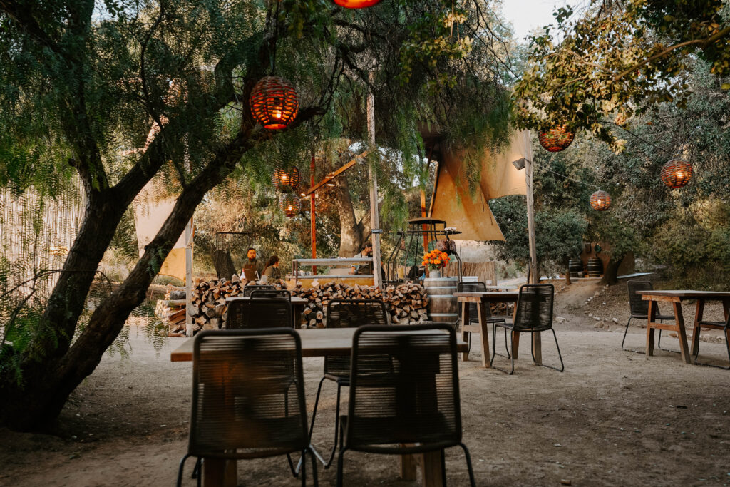 restaurant tables under a tree in Valle De Guadalupe