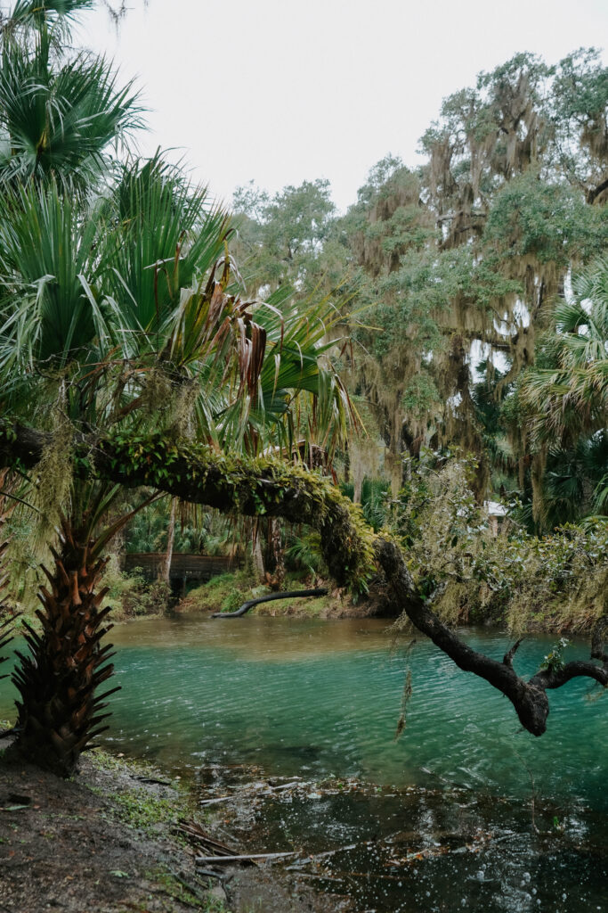 Gemini Springs in West Volusia