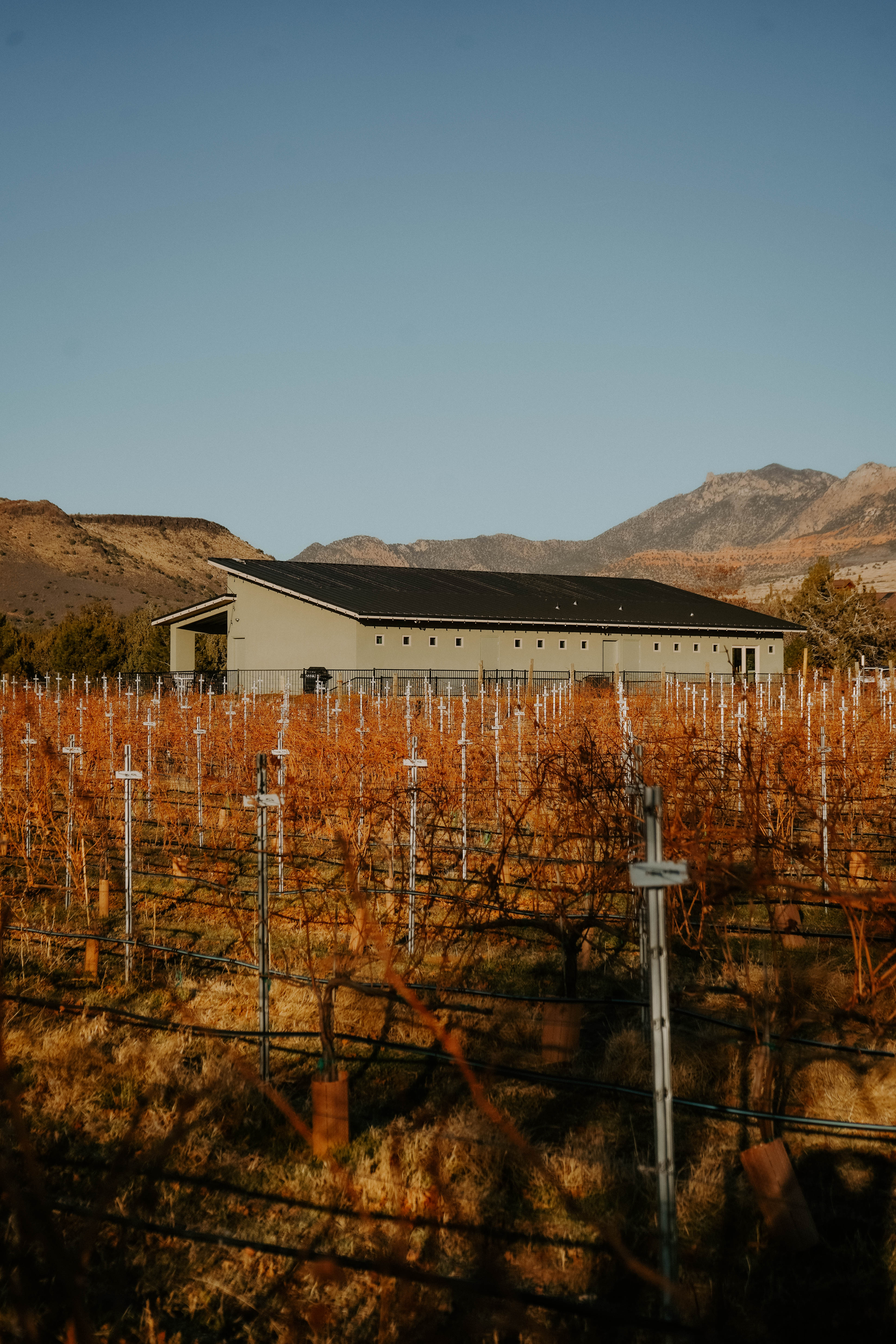 Utah winery during sunset