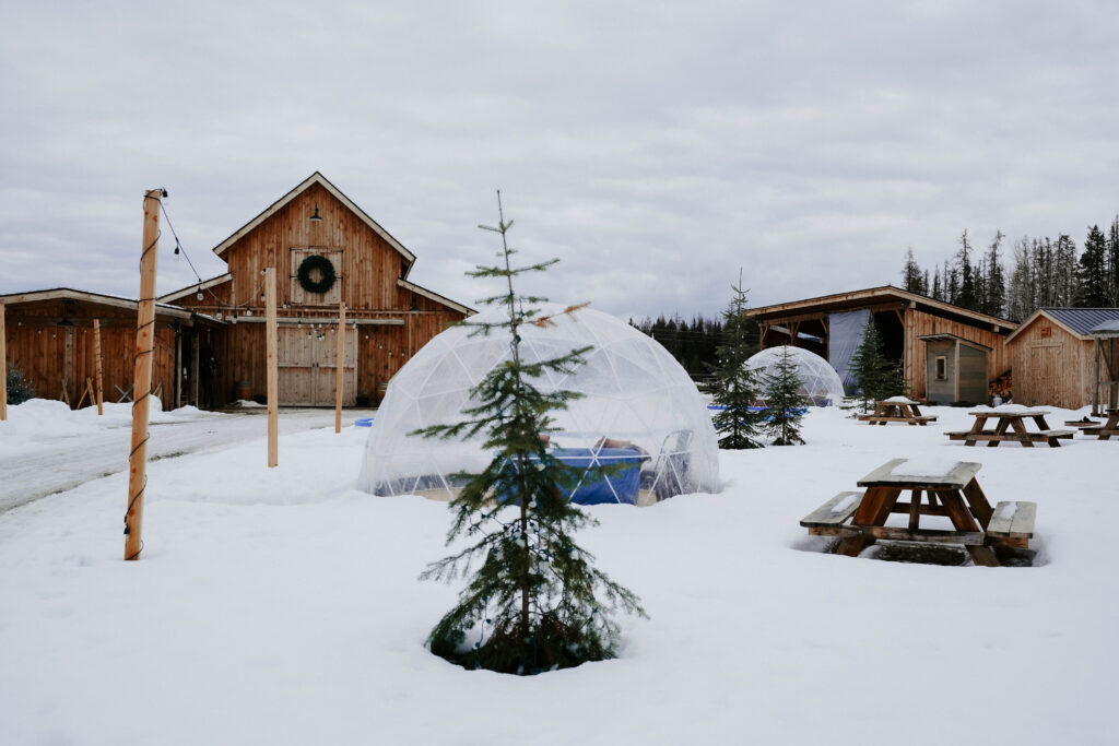cabin set in snowy landscape