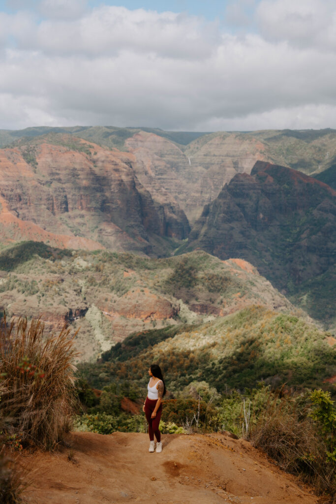 Views of Waimea Canyon