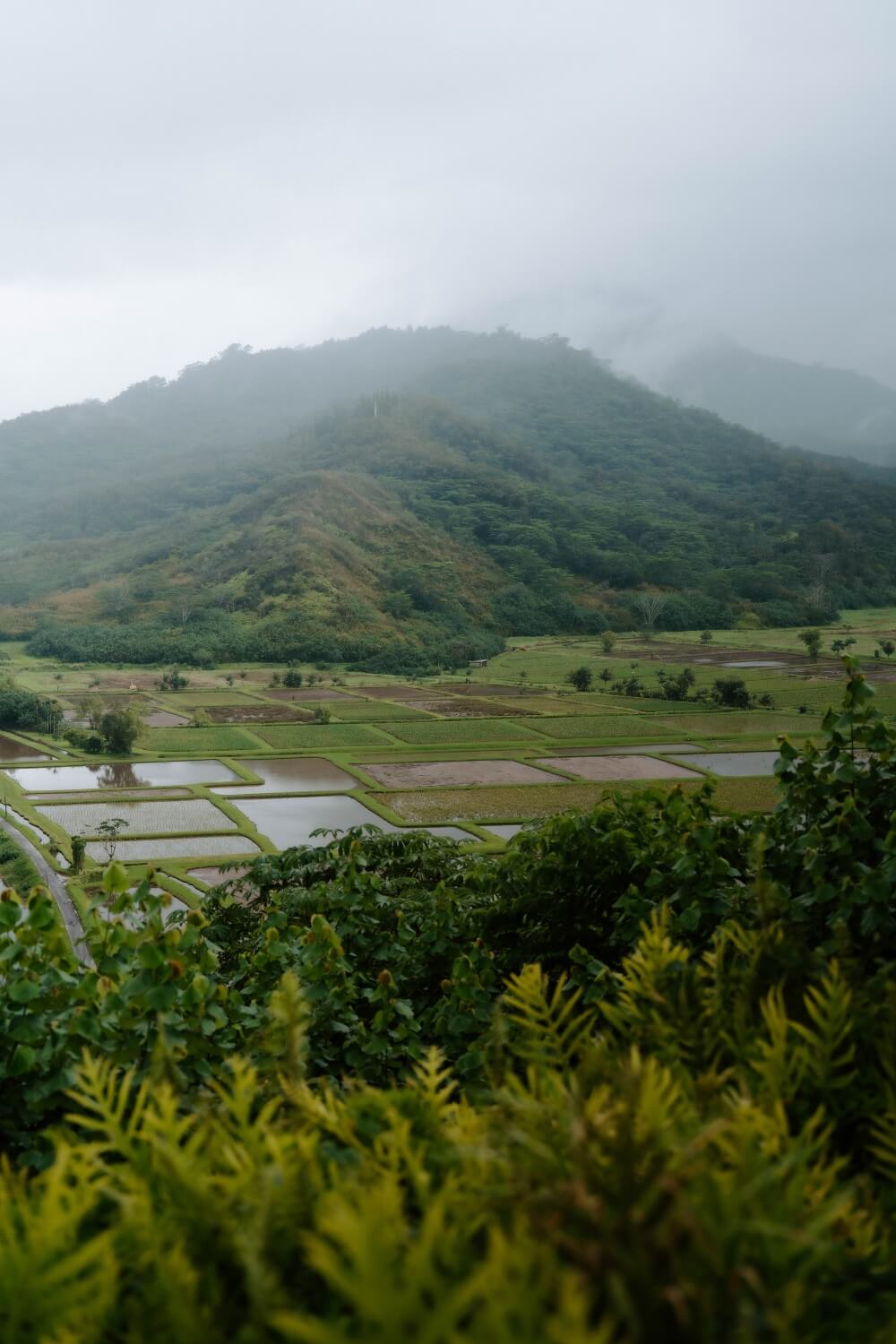 cloudy day over kauai hanalei valley lookout