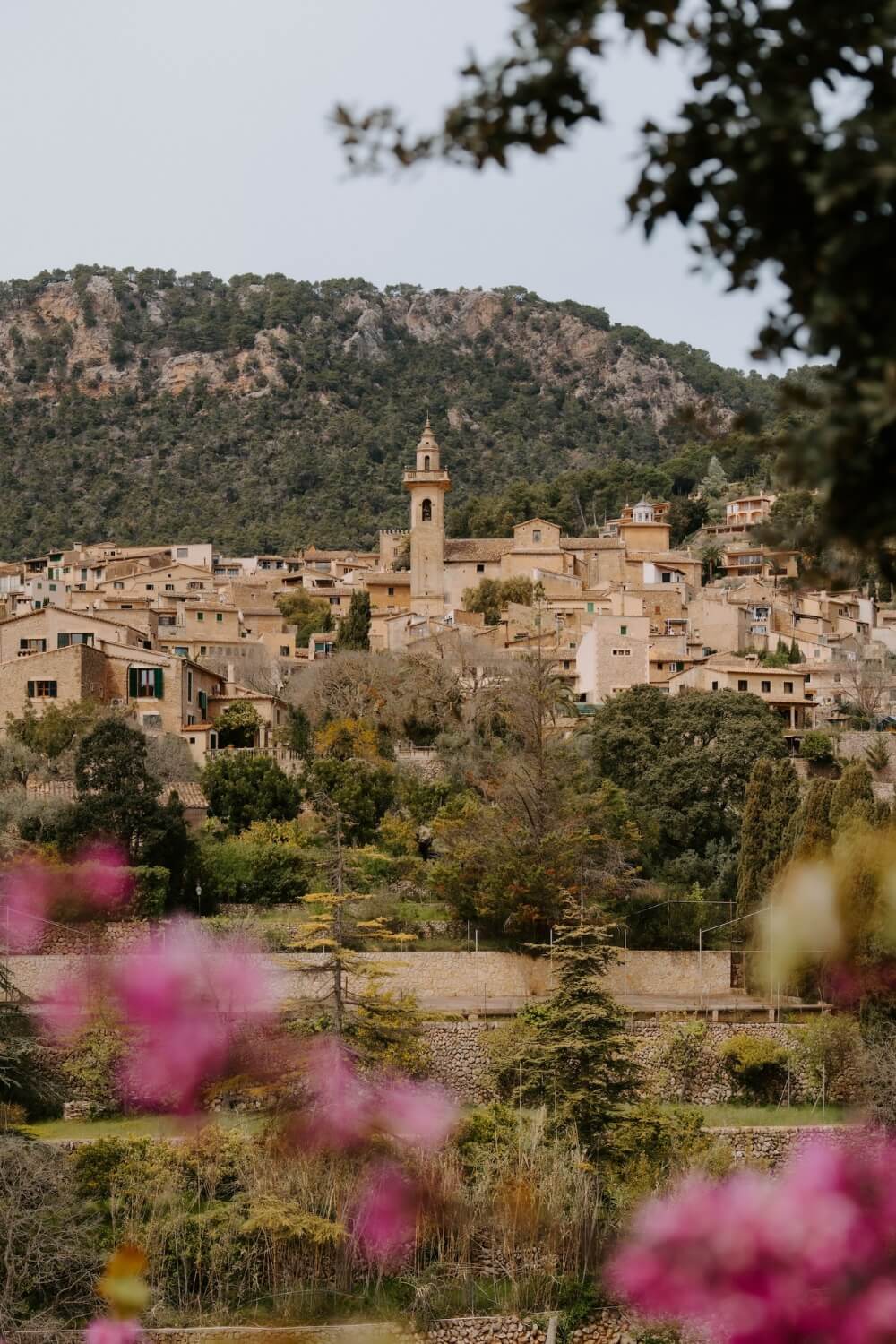 pink flowers in the foreground looking at mallorca valdemossa