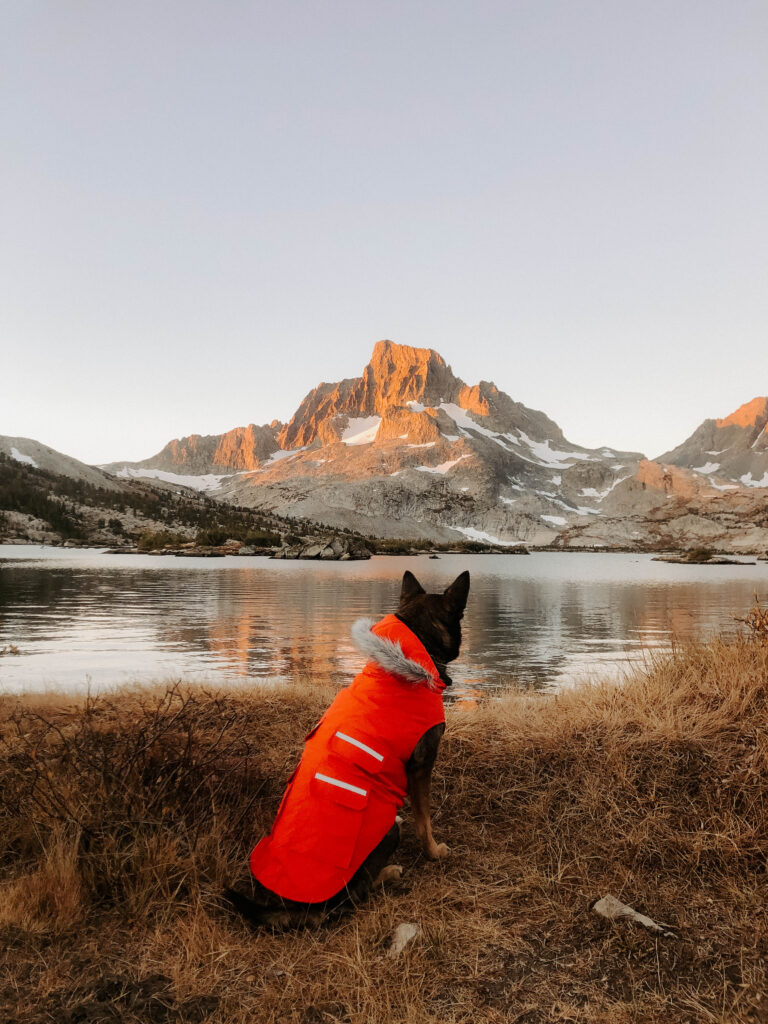 Dog sitting in front of Lake 