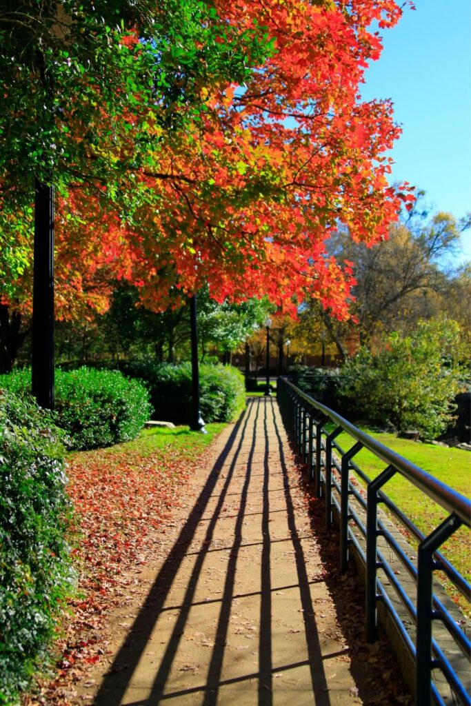 south carolina greenville autumn