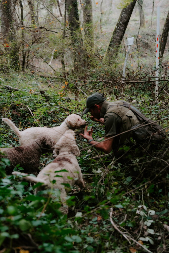 Truffle hunting in Tuscany