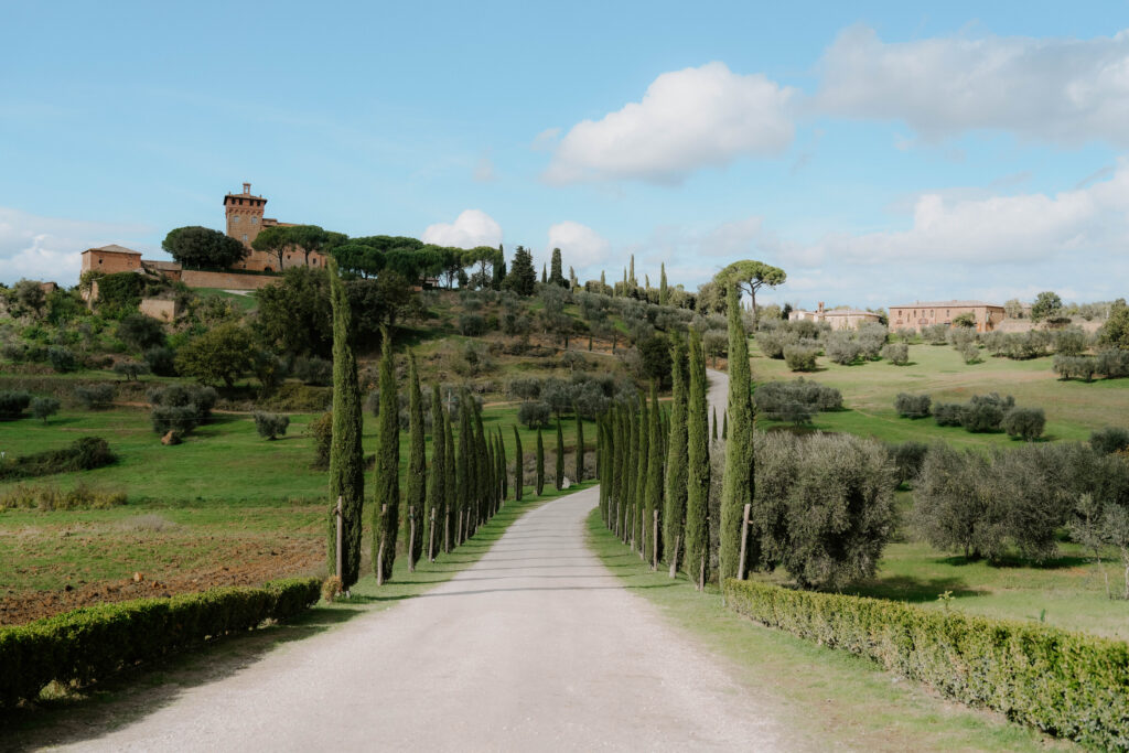 Tree lined driveway and rolling hills in Tuscany