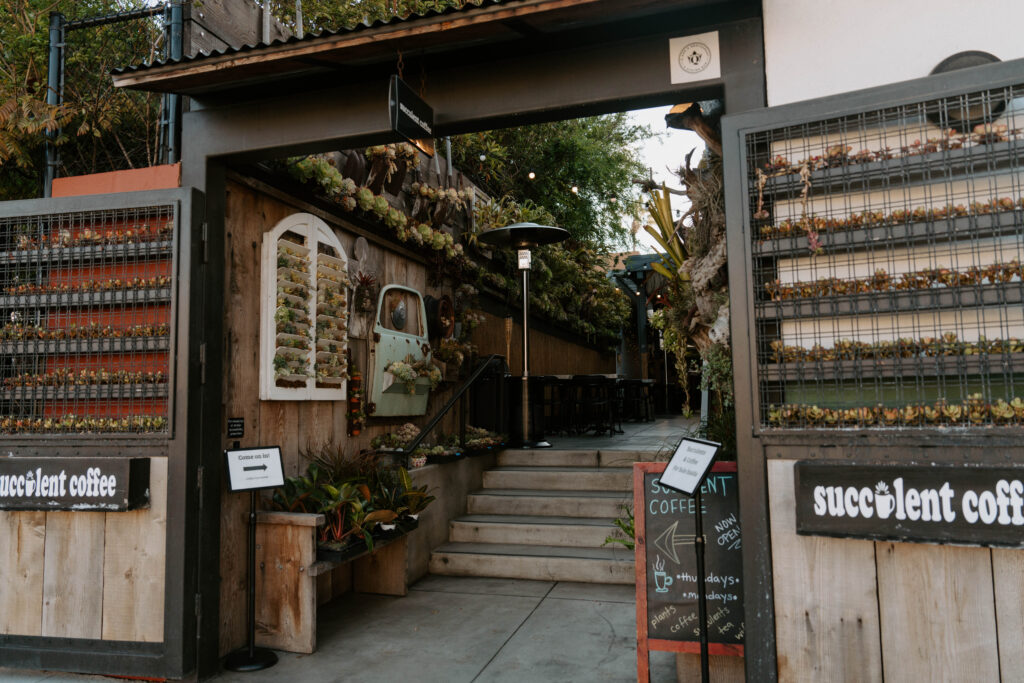 Succulent Cafe