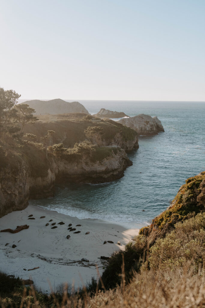 Point Lobos Cove