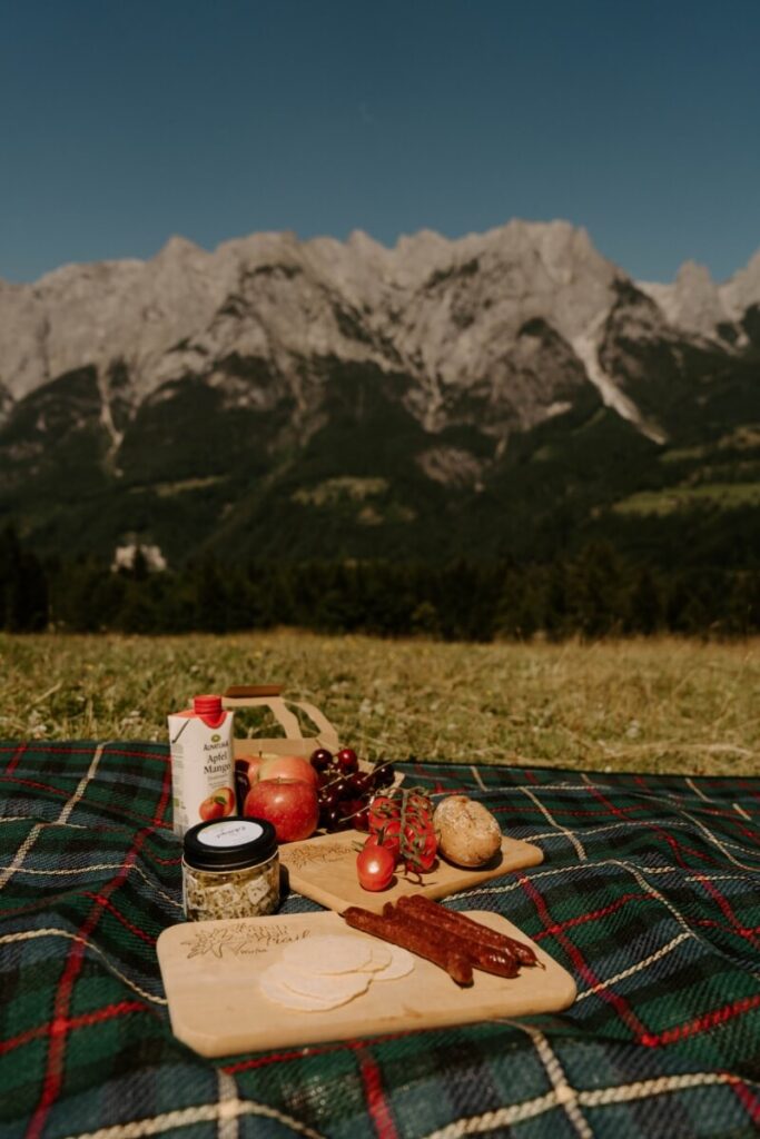picnic in Austrian Alps.