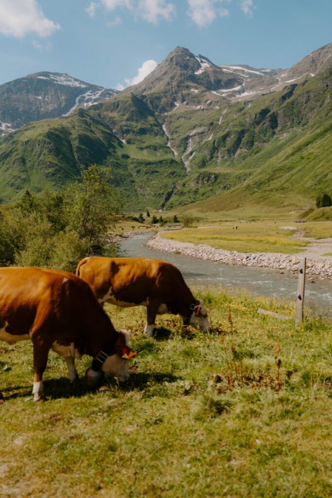 austria sportgastein