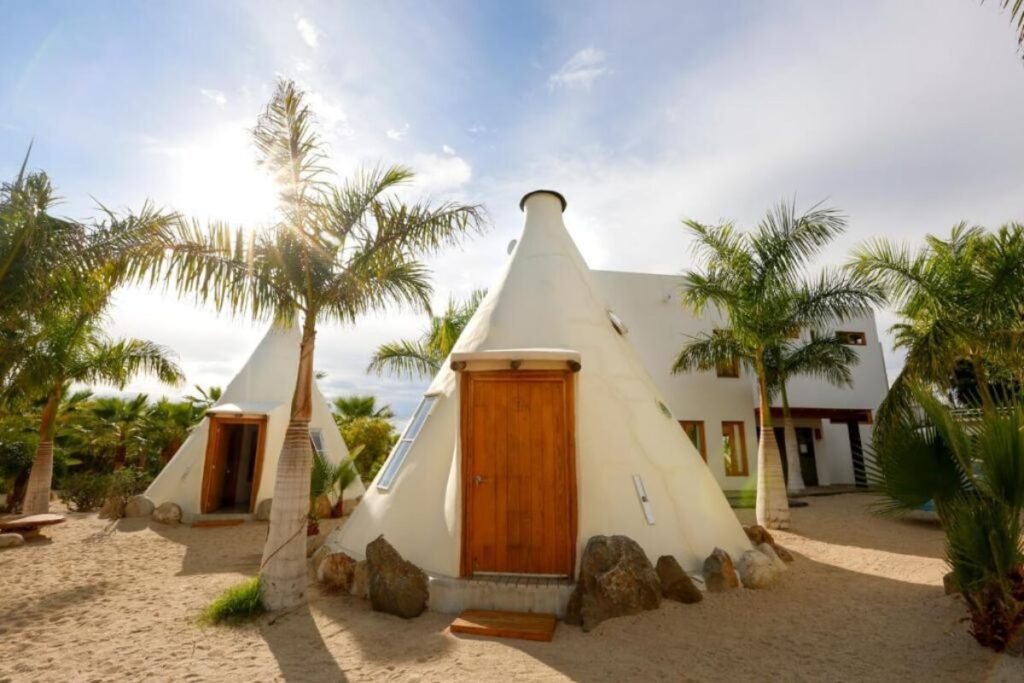 Yoga at Tribu is one of the best things to do in Todos Santos.