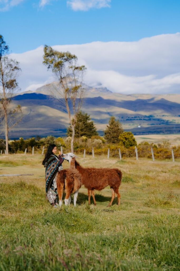 ecuador cotopaxi national park
