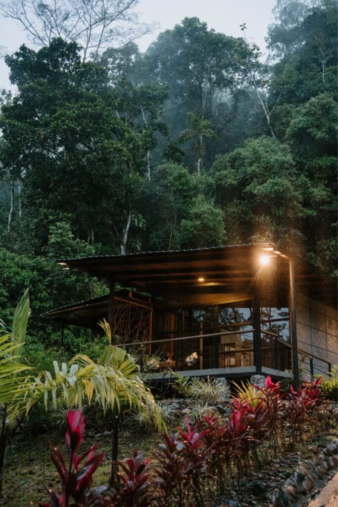 ecuador kuyana amazon lodge
