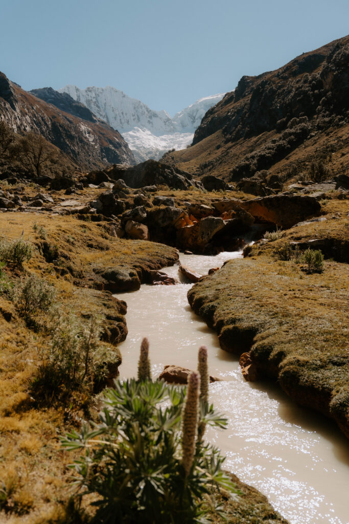 River with a mountain in the backdrop